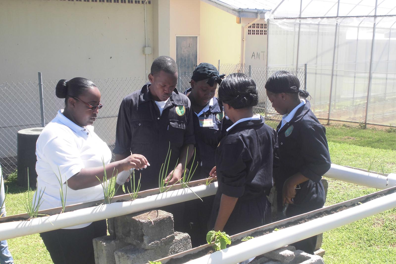 Division of Technical and Vocational Education